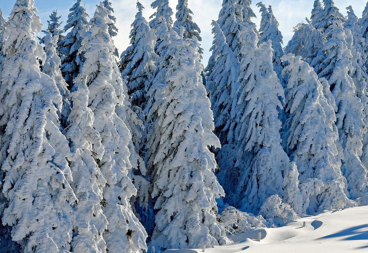 Foto: bljesak.info