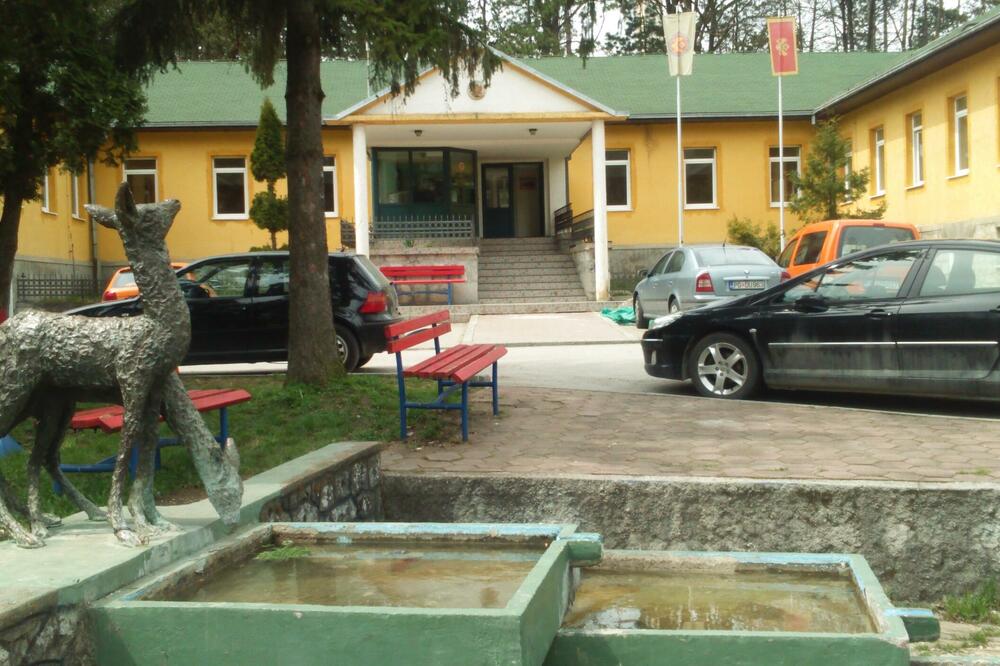 Uprava za šume, Foto: Vijesti