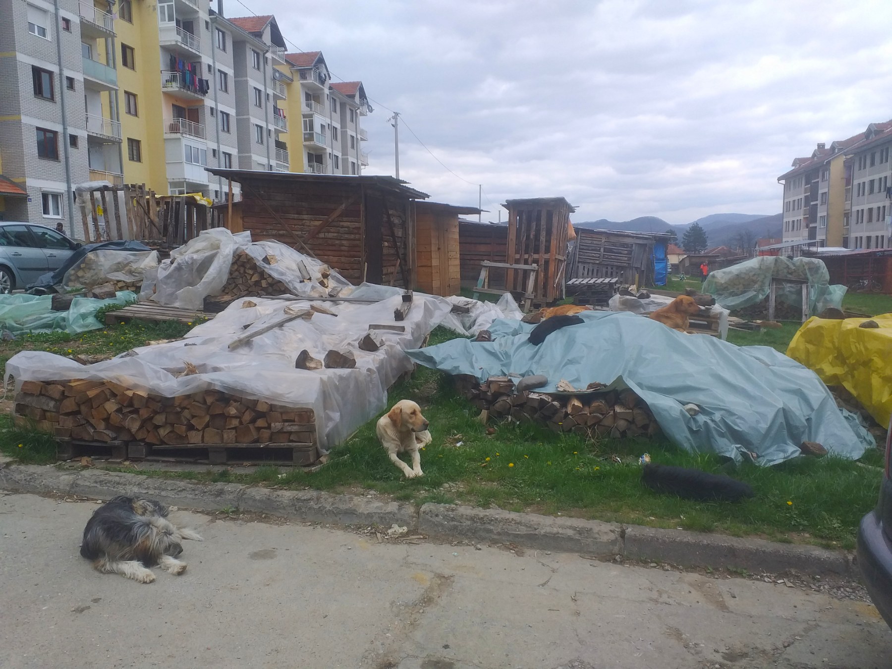 Foto: sjevercg - A.Š.